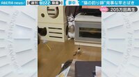 【映像】釣竿を巧みに操る猫