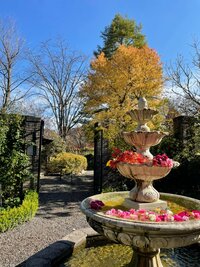 桜井奈々『携帯使えなくなりテンパる』