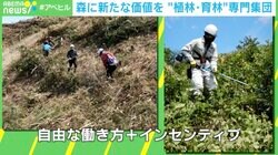 「3日働いて1日休む…」伐採後の植林・育林の人手不足に林業専門ベンチャーが“柔軟な働き方”を導入