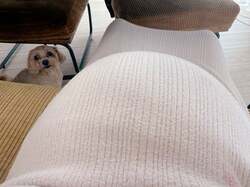  辻希美、第5子妊娠中のお腹の様子を公開「朝から元気に活動中」 