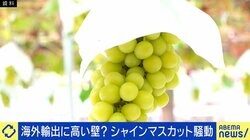 海賊版シャインマスカット野放しに？国産を譲らない輸出戦略 弁理士「中国は日本産だと偽っている…風評被害がすごい」