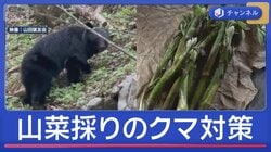 山菜採り中にクマ被害続出　名人が伝授！カギ握る「鈴の音」