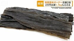 利尻昆布のオーナー募集に定員2倍の申し込み　2万円出資で1.7kg取得　干す作業も体験