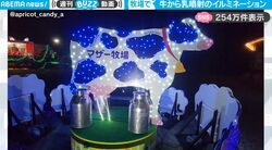 『マザー牧場』で目撃した斬新すぎる牛のイルミネーション、乳牛の乳からでる光の線、“斜め上”な光の使い方が話題に「攻め過ぎてます」