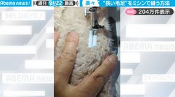 ミシンで縫うのが難しい毛足の長い生地を身近なモノを使って解決！ストローを使ったライフハック動画に反響