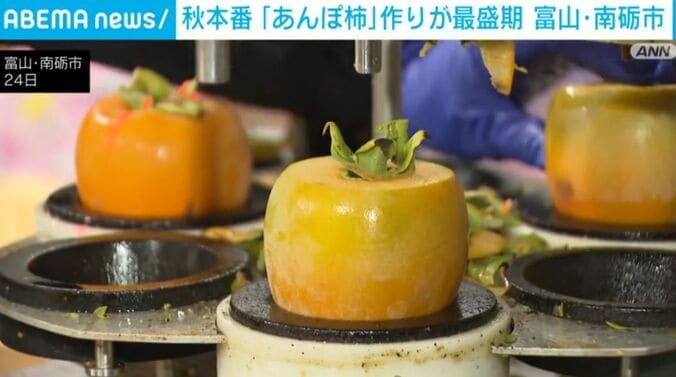 あんぽ柿
