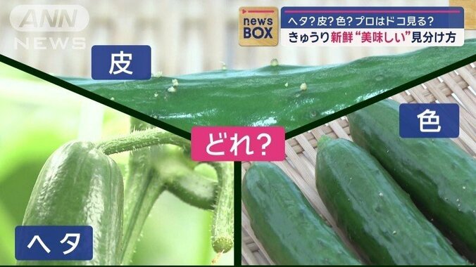 選ぶ時のポイントはどれ？