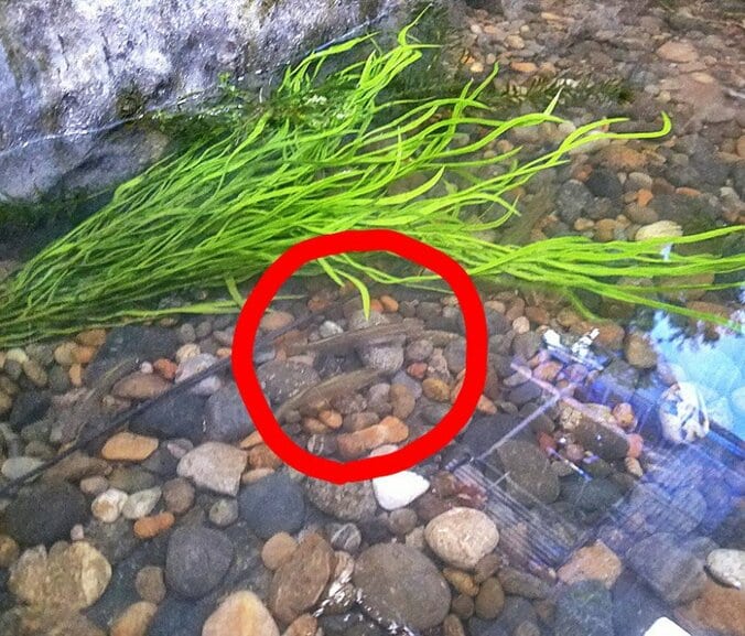 鈴木亮平、美術スタッフの技術力に感心「チームプレイだなぁ」 2枚目