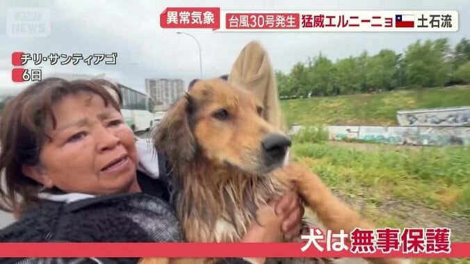 無事保護
