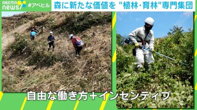 「3日働いて1日休む…」伐採後の植林・育林の人手不足に林業専門ベンチャーが“柔軟な働き方”を導入 1枚目