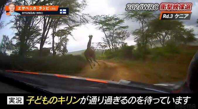 世界最速のラリー車に「キリンもびっくり」 レース実況の名手が選ぶ衝撃光景「競技よりも命」ドライバーの“粋な対応”も脚光 3枚目