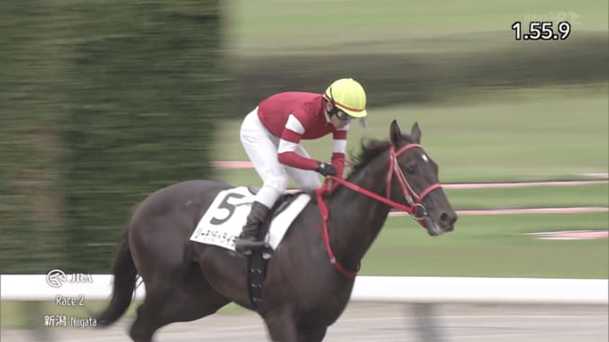 【映像】実況にも注目！ 麻雀ルーツ珍名馬“一発アガリ”デビュー