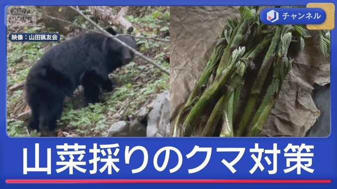 山菜採り中にクマ被害続出　名人が伝授！カギ握る「鈴の音」 1枚目