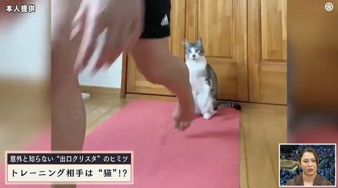 美人アスリート、“愛猫”と前代未聞のトレーニング動画が話題 あまりの驚きと可愛さに思わず二度見必至 「この猫可愛すぎ」「これはバズりますね」 4枚目