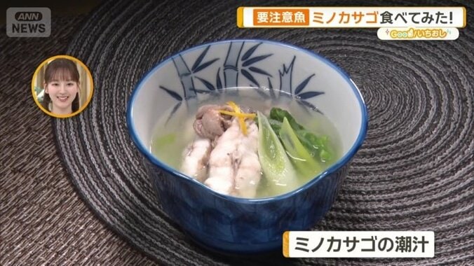 ミノカサゴの潮汁