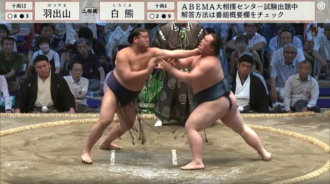 十両十三枚目・羽出山