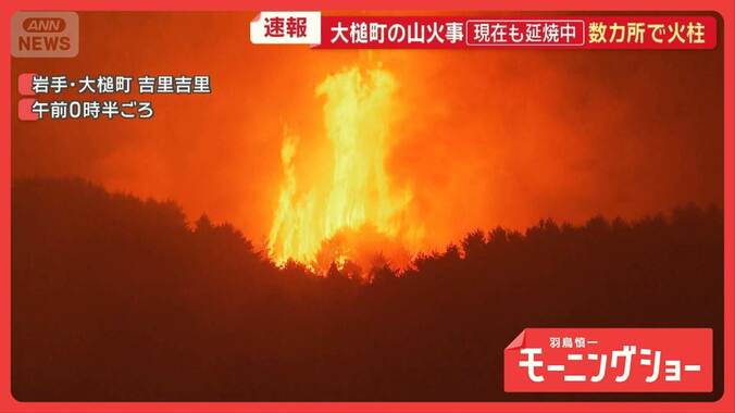 山火事…住宅に接近　数カ所で火柱　出火原因は？　住民ら不安の避難　岩手県大槌町 1枚目