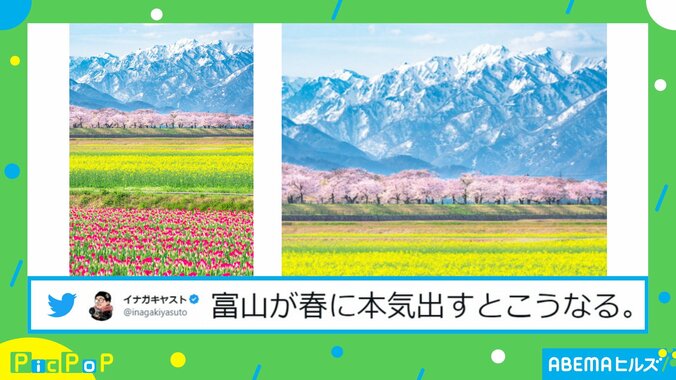 「富山が春に本気出すとこうなる」“奇跡の風景写真”に絶賛の声「絵かと思った」「色の変化がすごい」 2枚目