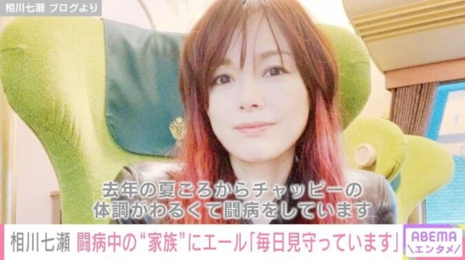 相川七瀬、闘病中の”家族”へエールを送る「薬が効いてくれることを祈って毎日見守っています」 1枚目