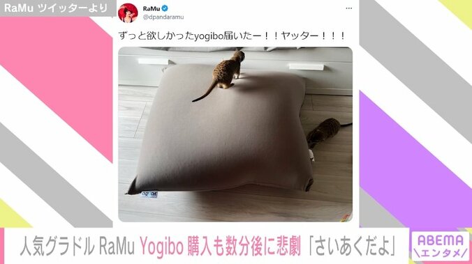 人気グラドル・RaMu、念願だった商品が届くも...“最悪な出来事”に遭い悲鳴上げる「1時間も経ってないやんけ」 1枚目