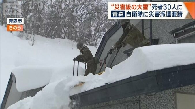 高齢者世帯を中心に屋根の除雪作業
