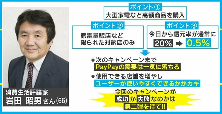 わずか10日間で終了したPayPay“100億円祭り”、専門家の評価は