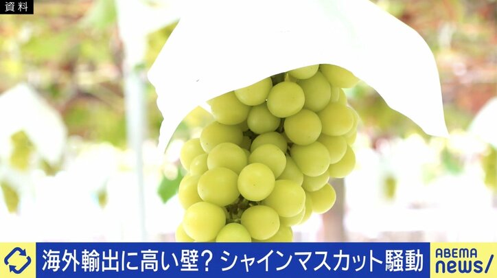 シャインマスカット