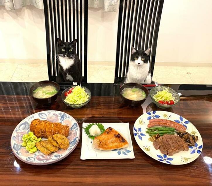  藤あや子、急いで調理するも豪華になった夕食「どれも最高に美味しかった」 