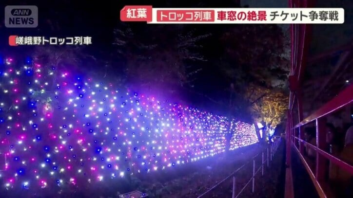 各所でライトアップ…幻想的な光景に