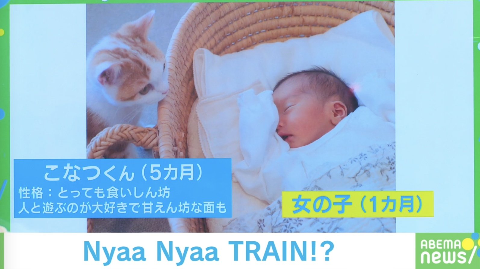 僕らはいつも以心伝心にゃ 赤ちゃんと子猫のキュートな 寝相 に悶絶の声 癒される 国内 Abema Times