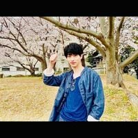 横浜流星、満開の桜をバックにイケメンショット 「花より流星」「綺麗すぎてうっとり」とファン悶絶