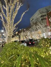 丸岡いずみ『イルミネーションに誘われて』