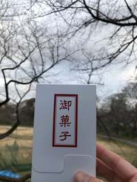 加藤紀子『ひな祭りに願うのは。』