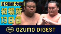 2019年 大相撲初場所 - 大相撲ダイジェスト - 優勝するのは一体?全幕内一挙に振り返り! | 動画視聴は【Abemaビデオ(AbemaTV)】