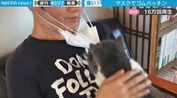 「俺もされたい」猫がマスクで“ゴムパッチン” コロナ禍の癒しに反響続々