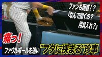 【映像】痛っ! ファウルボールを追い“蓋に挟まる”珍事