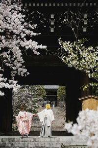 くみっきー『桜』