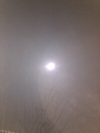 比企理恵『ちえみちゃん』