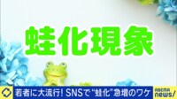 ティーンの気持ちは山の天気？「蛙化現象」って？ 当事者と考える