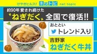 【動画】「ねぎだく牛丼」がTwitterトレンド入り