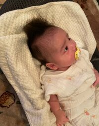 だいたひかる『ホラー』