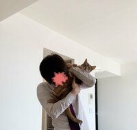 桃『「愛」という感情が備わってる人』