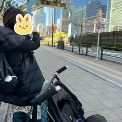  だいたひかる、ママ友に誘われて見た珍しいものを公開「凄い」「貴重な体験」の声 