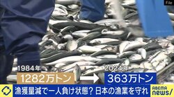 25年後、日本に魚がいなくなる？国内漁業の危機的状況に専門家が警鐘「資源管理ができてない」「補助金で休んでもらった方が漁業は復活する」40年間で漁獲量は1/3に激減