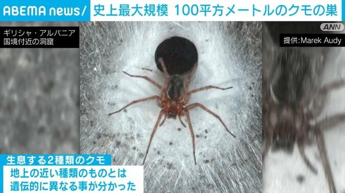 ギリシャとアルバニアの国境付近にある洞窟