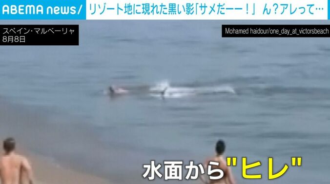 マルベーリャの海水浴場