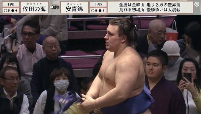 「天才肌だ」とコメントが寄せられる安青錦