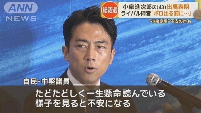 自民・中堅議員