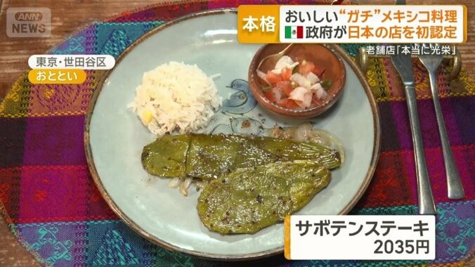 サボテンステーキ