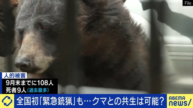 クマの被害が拡大